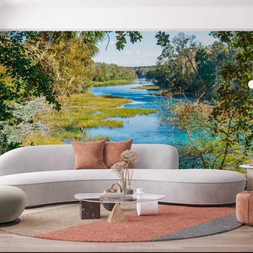 Mural Estados Unidos - Florida Vegetacion