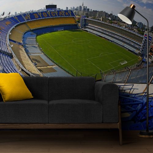 Mural Bombonera Ojo Pez