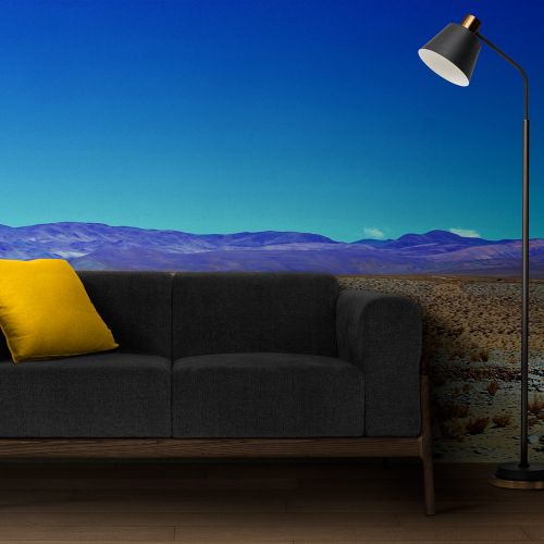 Mural Desierto Salta