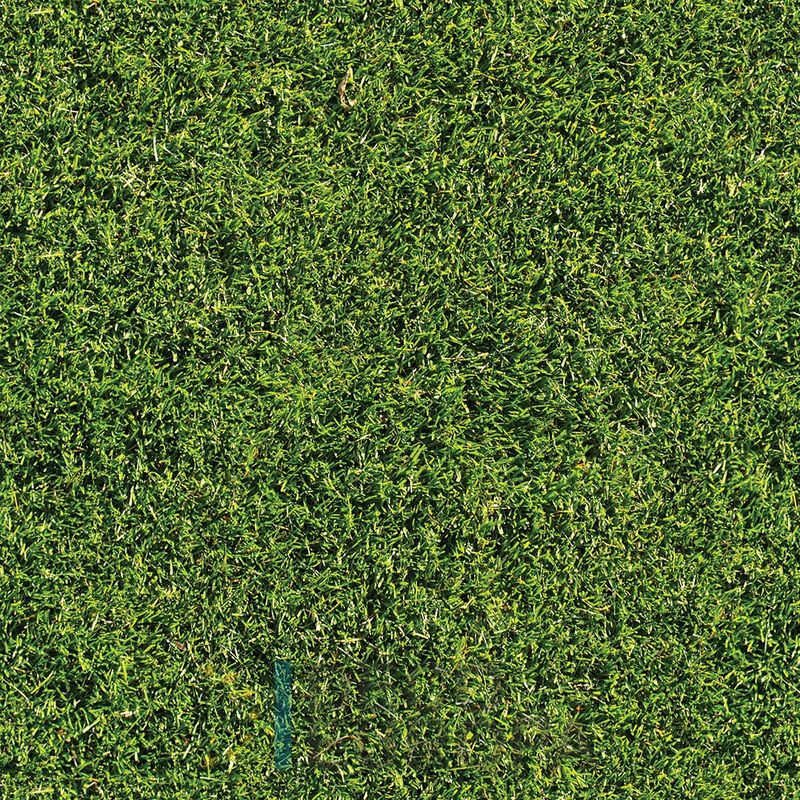 Mural Hojas Verdes y Tropicales - PDF04