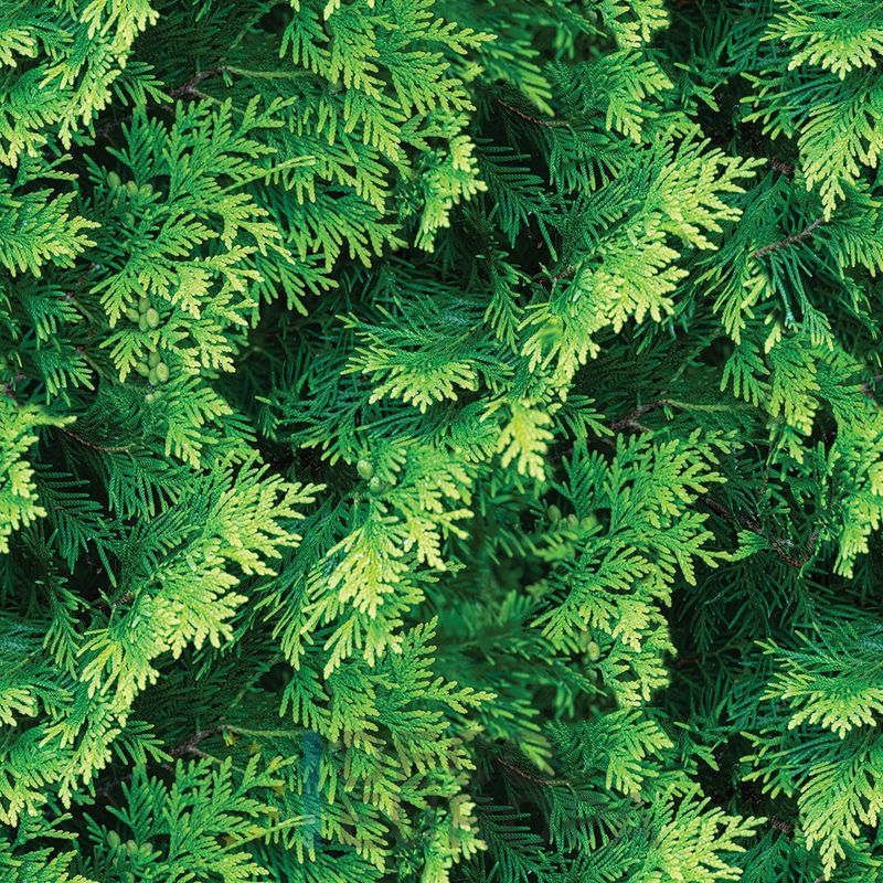 Mural Hojas Verdes y Tropicales - PDF10