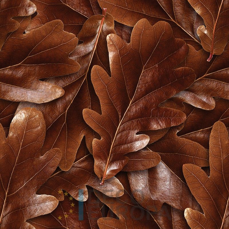 Mural Hojas Verdes y Tropicales - PDF44