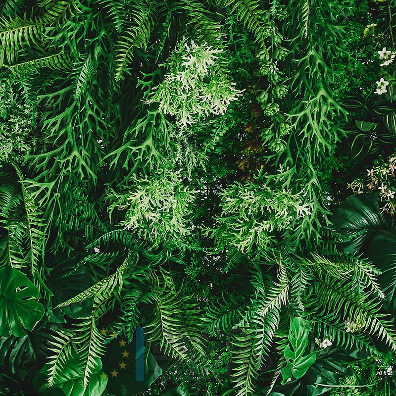 Mural Hojas Verdes y Tropicales - PDF59