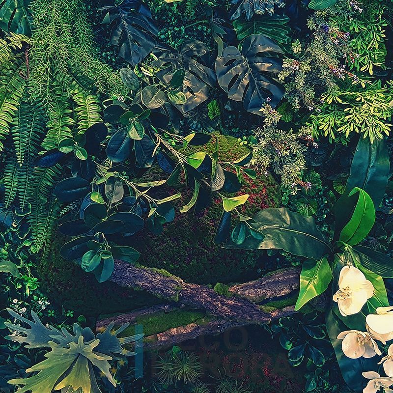 Mural Hojas Verdes y Tropicales - PDF64