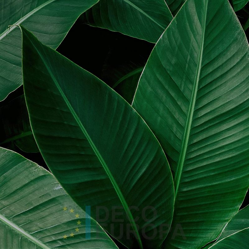 Mural Hojas Verdes y Tropicales - PDF71