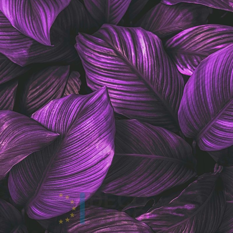 Mural Hojas Verdes y Tropicales - PDF82