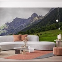 Mural Austria - Alpes