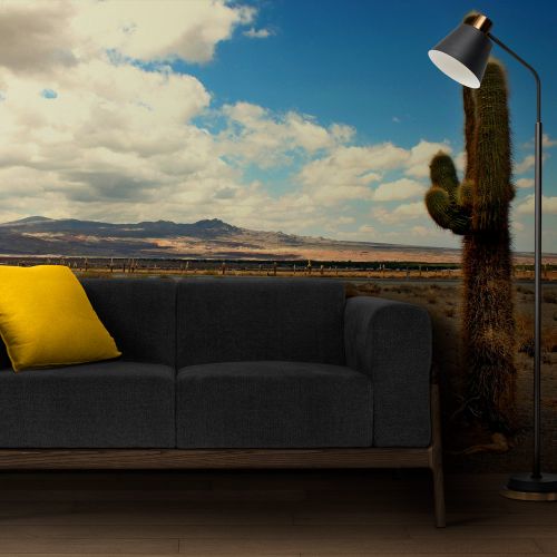 [1392] Mural Desierto Salta Cielo Azul