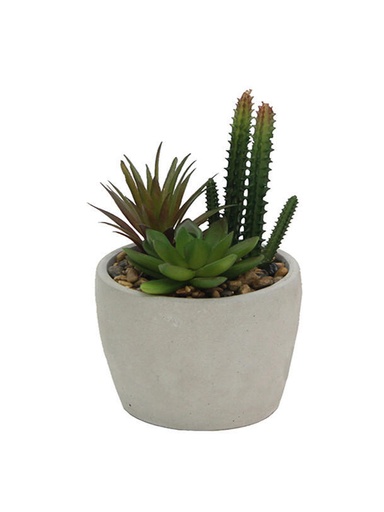 [MCC5211] Suculentas Verde en Maceta Ceramica
