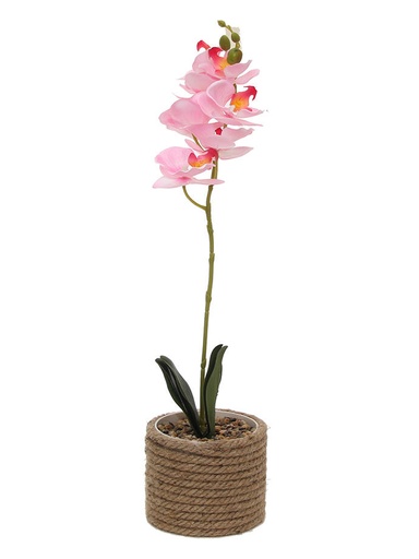 [MCC7056] Orquidea en Maceta de Yute