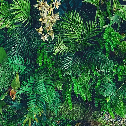 [PDF60] Mural Hojas Verdes y Tropicales - PDF60
