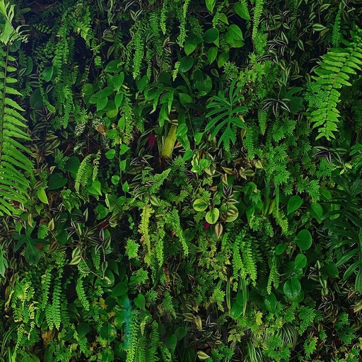 [PDF61] Mural Hojas Verdes y Tropicales - PDF61