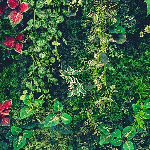 [PDF63] Mural Hojas Verdes y Tropicales - PDF63