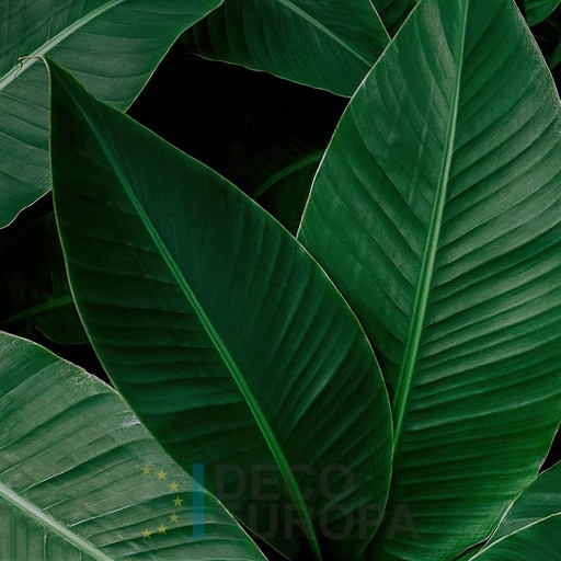 [PDF71] Mural Hojas Verdes y Tropicales - PDF71