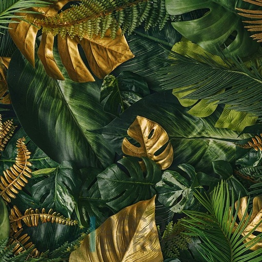 [PDF78] Mural Hojas Verdes y Tropicales - PDF78